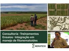 Treinamento em Desenvolvimento Profissional, Palestras e Gerencial