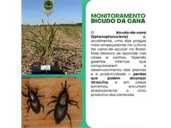 Consultoria Agronomica Maza