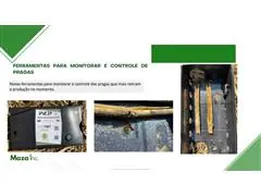 Consultoria Agronomica Maza - 8