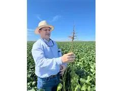 Palestra e treinamento técnico Agrobelts - 2