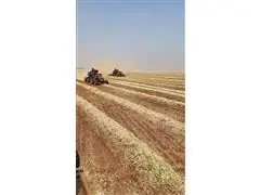 Consultoria e Pesquisa - Midas Research