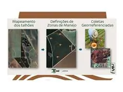 TECNO BIO - CONSULTORIA EM BIOLOGIA DO SOLO - 1