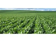 Visita Técnica Verisci - 0