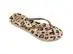 Chinelo Havaianas Slim Animals Bege/Bege - 1
