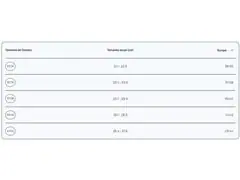 Chinelo Havaianas Slim Glitter Ii Areia/Dourado - 7