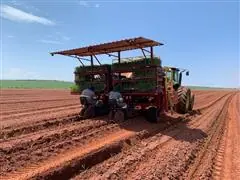 Consultoria Enercana - 0