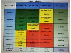 Consultoria Enercana - 2