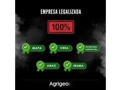 PULVERIZAÇÃO COM DRONE - ÁREA TOTAL (VARZEA E TERRENOS PLANOS) - 1