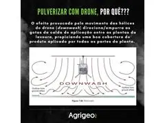PULVERIZAÇÃO COM DRONE - ÁREA TOTAL (VARZEA E TERRENOS PLANOS) - 5