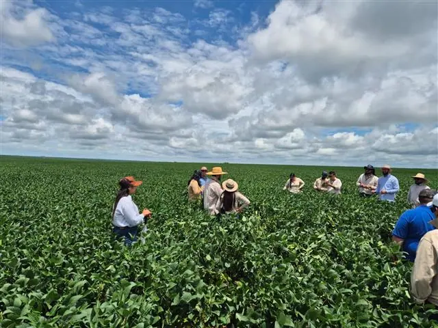 Treinamentos, Palestra, Rodadas Técnicas em Entomologia