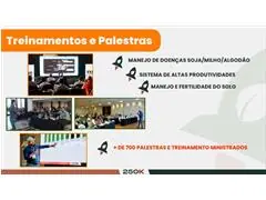 Manejo e Programação de Fungicidas (Recomendação Descomplicada) - 2