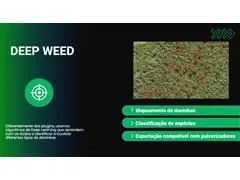 Algoritmo de IA para Mapeamento de Daninhas - 0