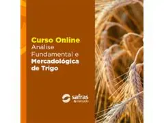 Curso Análise Fundamental e Mercadológica de Trigo - Online
