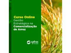 Curso Gestão Estratégica na Comercialização de Arroz - Online
