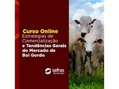 Curso Estratégias de Comercialização e Tendências Gerais do Mercado - 0