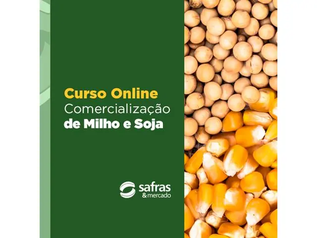 Curso Comercialização de Milho e Soja Online Safras e Mercado