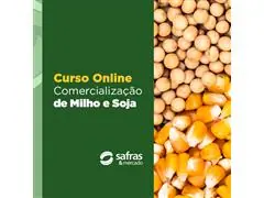 Curso Comercialização de Milho e Soja Online Safras e Mercado