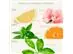Eau de Toilette Refrescante Verbena 100ml L´Occitane en Provence - 1