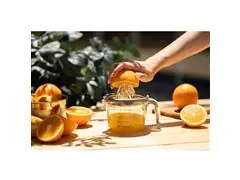 Espremedor Tramontina Vidro Borossilicato 500ml com Tampa - 1