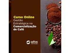 Curso Gestão Estratégica na Comercialização de Café - Online  - 0
