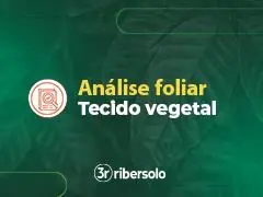 ANÁLISE FOLIAR