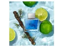 Perfume Antonio Banderas Blue Seduction EDT - Masculino 50mL - 1