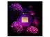 Her Secret Desire Banderas Perfume Feminino - Eau de Toilette 50ml - 3