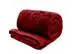 Edredom Buettner Solteiro Plush Flannel Dupla Face 160mx240m Vermelho - 0