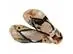 Chinelo Havaianas Slim Pets Dourado/Preto Tam 33-34 - 3
