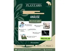 ANÁLISE COMPLETA PLANTARIS - 7