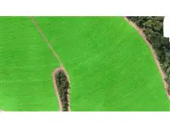 SOFTWARE NELORE TECH LINES E ANALISE DE PARALELISMO - 0