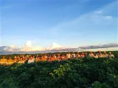 Treinamentos Técnicos - 4