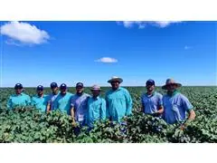 Treinamentos Técnicos - 6