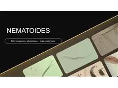 Palestra Técnica - 1