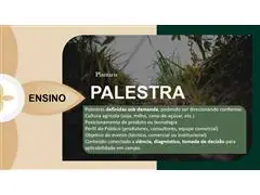 Palestra Técnica - 4