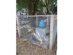 TRATAMENTO MICROBIOLOGICO DE AGUA - 3