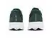 Tênis Asics Raiden 5 Dusty Fern/Light Dust Masc Tam 40 - 5