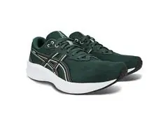 Tênis Asics Raiden 5 Dusty Fern/Light Dust Masc Tam 41 - 0