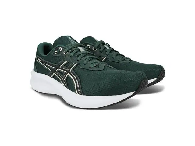 Tênis Asics Raiden 5 Dusty Fern/Light Dust Masc Tam 43