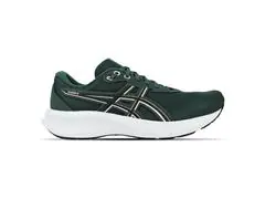 Tênis Asics Raiden 5 Dusty Fern/Light Dust Masc Tam 44 - 2