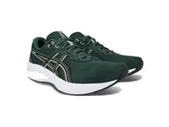 Tênis Asics Raiden 5 Dusty Fern/Light Dust Masc