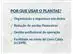 Plantae Gestão Agrícola - 2