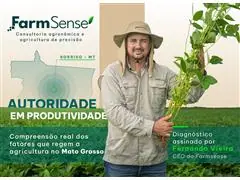 Análise Foliar - 2
