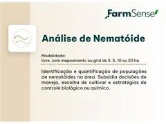 Análise de Nematóide - 1