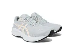 Tênis Asics Raiden 5 020 Piedmont Grey/White Fem