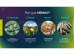SAT TECH 2.0 HEMAV
