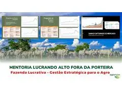 Mentoria Lucrando Alto Fora da Porteira