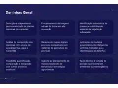Identificação de plantas daninhas - 2