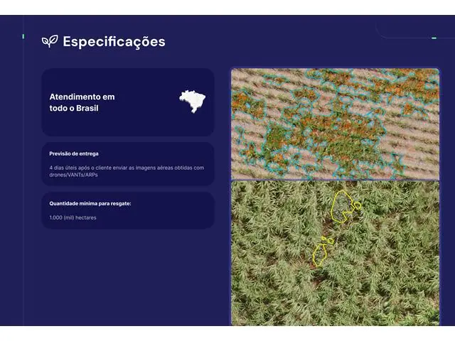 Identificação de plantas em nível de espécie