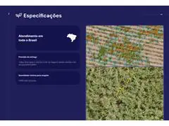 Identificação de plantas em nível de espécie - 0